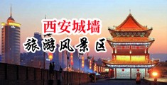 黑粗硬日韩美少女顶级性爱中国陕西-西安城墙旅游风景区