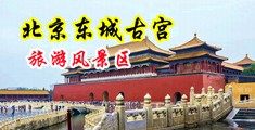 大鸡吧又长又粗真过瘾中国北京-东城古宫旅游风景区